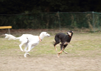 20140201002.jpg
