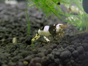 2011083002_20110831000544.jpg