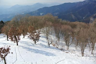 DSC_0136.jpg
