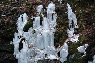DSC_0281.jpg