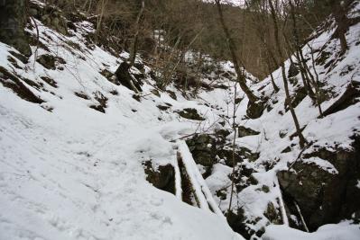 DSC_0292.jpg