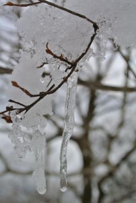 DSC_0332.jpg
