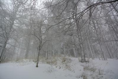 DSC_0363.jpg