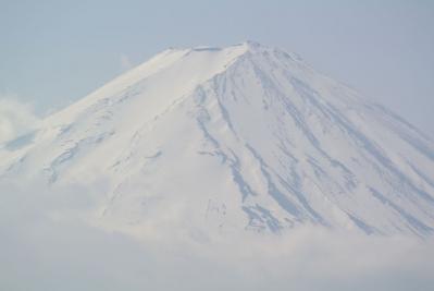 DSC_0432.jpg