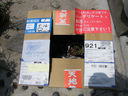 カクトロコ便