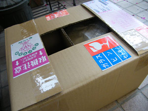 ダンボール