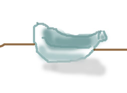 葉挿し1