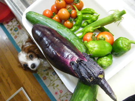 野菜