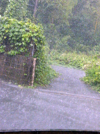 ゲリラ豪雨