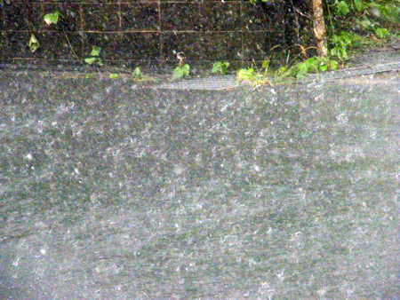 ゲリラ豪雨