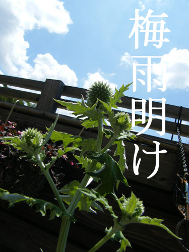 梅雨明け