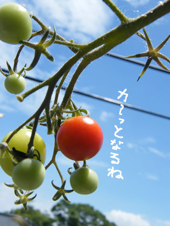 暑い