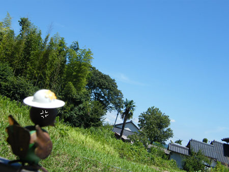 暑い