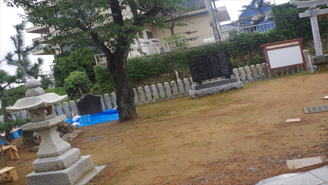 IMGP3763_R.jpg