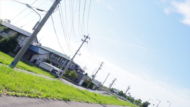 IMGP3856_R.jpg