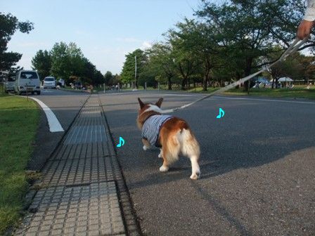 ぶん太