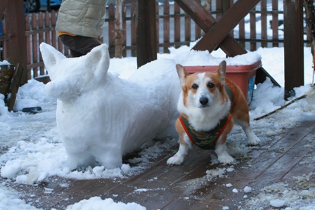 ぶん太