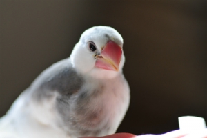AAA_5682.jpg