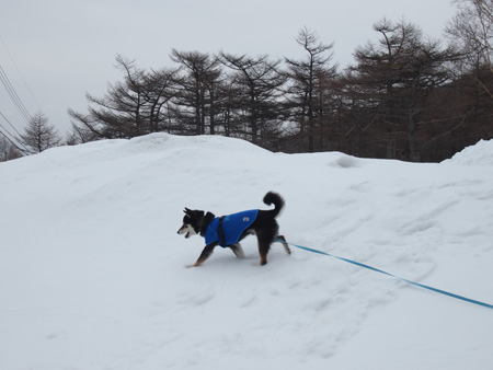 逃亡④