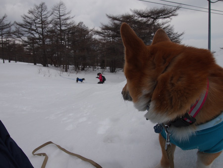 ぶん太捕獲①