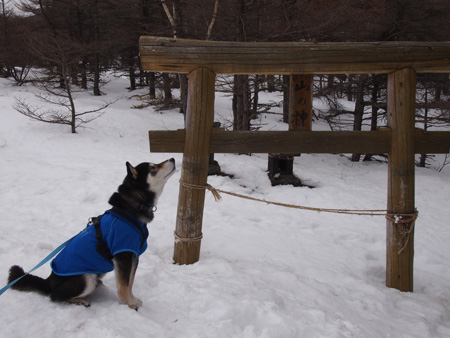 山の神③