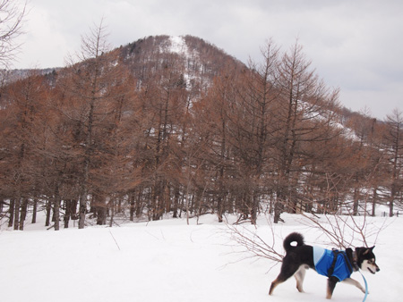 山にて