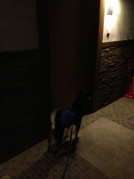 宿の玄関