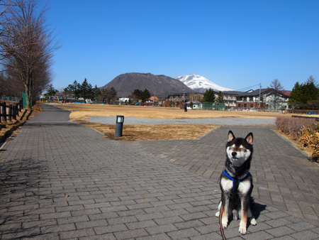 大賀ホール①
