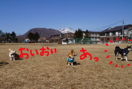 集合写真
