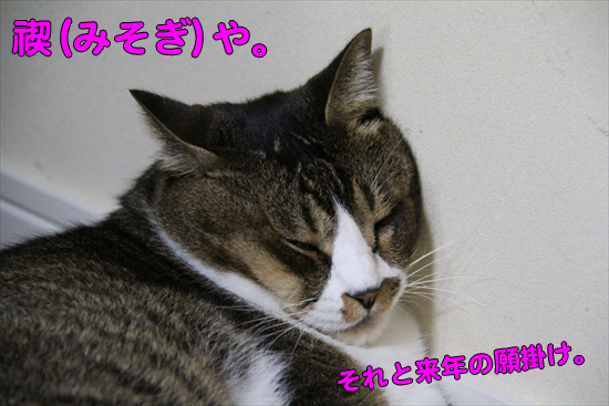 IMG_0034_R禊(みそぎ)や。