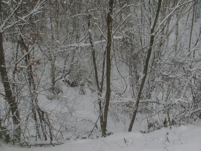 雪