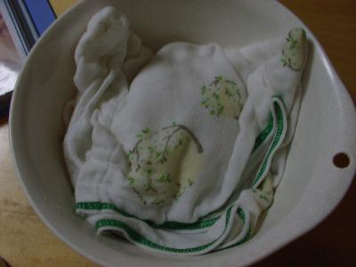 IMGP1119.jpg