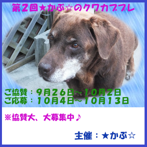 かぶさんプレ