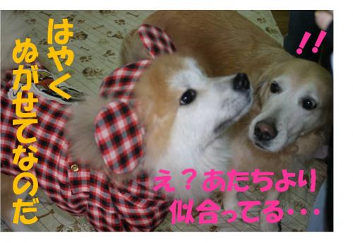 120202-7_convert_20120202224643.jpg