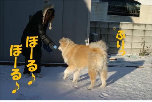 120229-2_convert_20120229213505.jpg