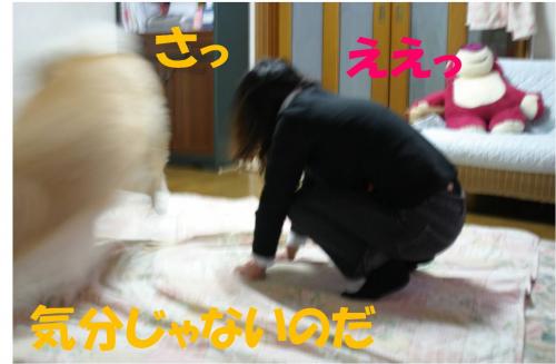 120314-2_convert_20120314203806.jpg