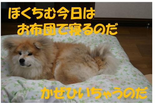 120407-3_convert_20120405225333.jpg