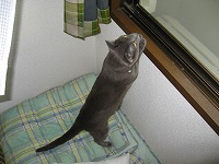 IMG_0175.jpg