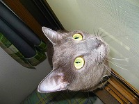 IMG_0180.jpg