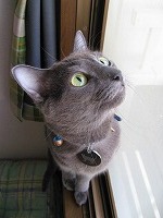 IMG_0181.jpg