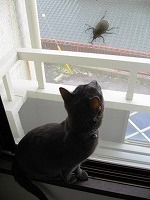 IMG_0183.jpg