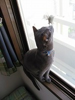 IMG_0184.jpg