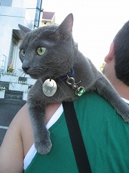 IMG_0446.jpg