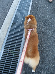 IMG_0457.jpg