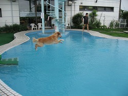 IMG_0520.jpg