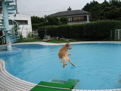 IMG_0522.jpg