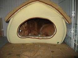 IMG_0046.jpg