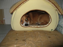 IMG_0045.jpg