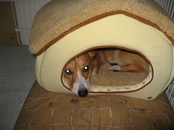 IMG_0042.jpg