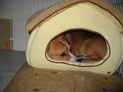 IMG_0043.jpg